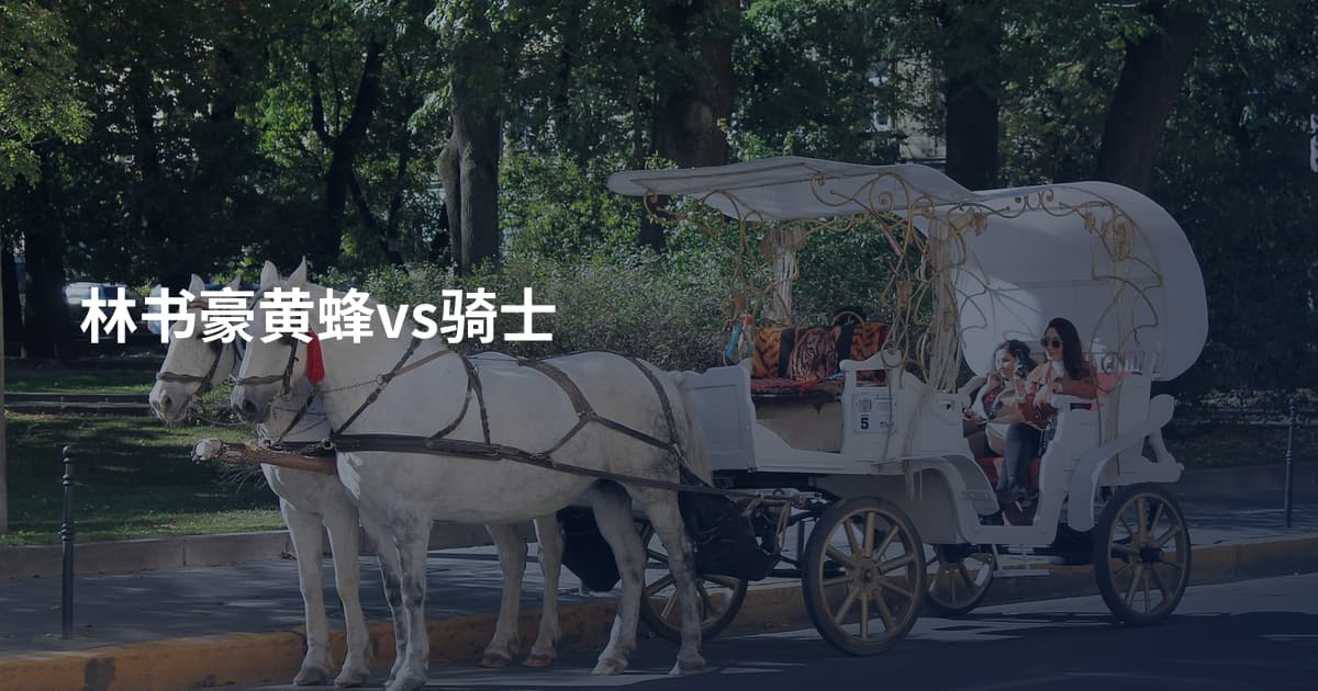 林书豪黄蜂vs骑士