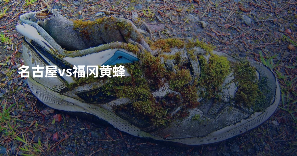 名古屋vs福冈黄蜂