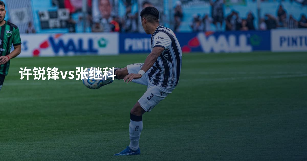 许锐锋vs张继科