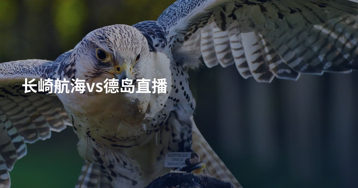 长崎航海vs德岛直播