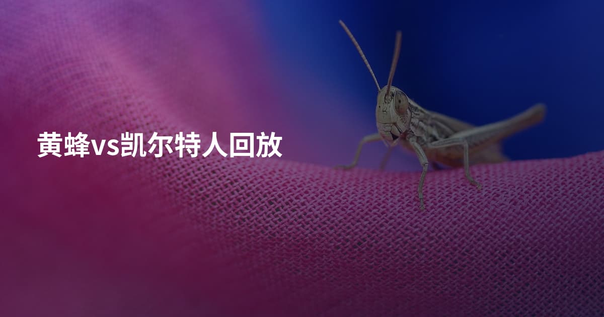 黄蜂vs凯尔特人回放