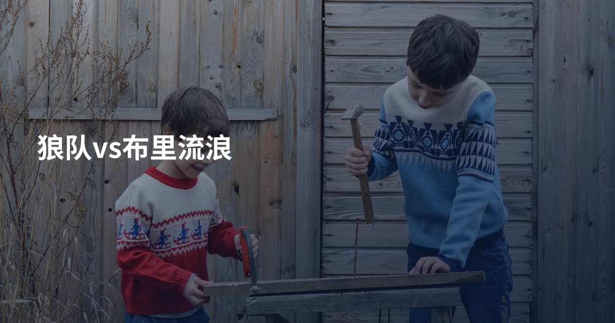 狼队vs布里流浪