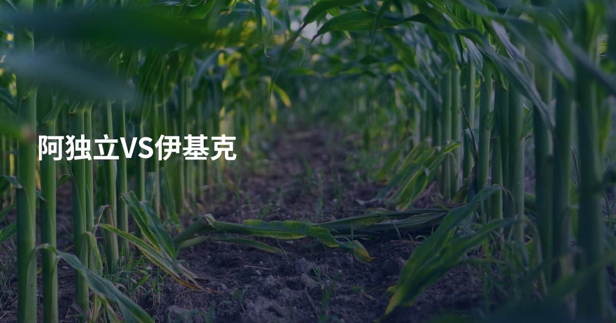 阿独立VS伊基克