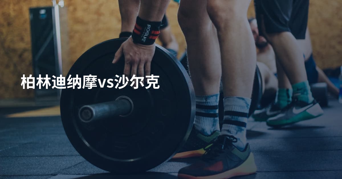 柏林迪纳摩vs沙尔克