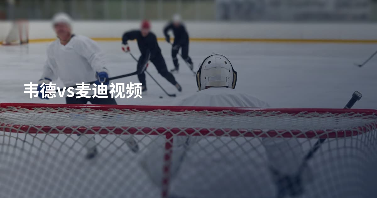 韦德vs麦迪视频