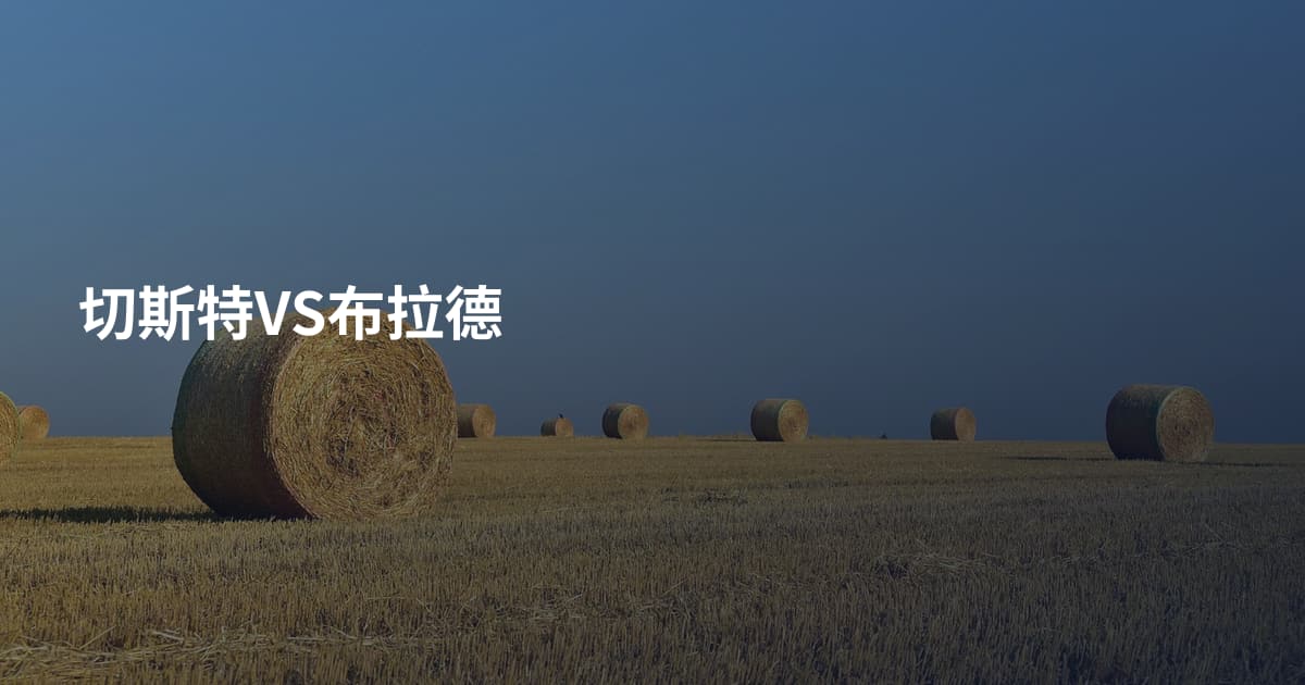 切斯特VS布拉德
