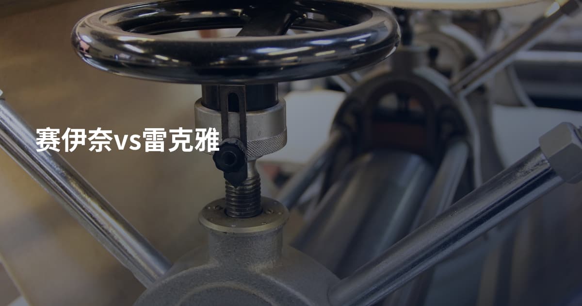 赛伊奈vs雷克雅