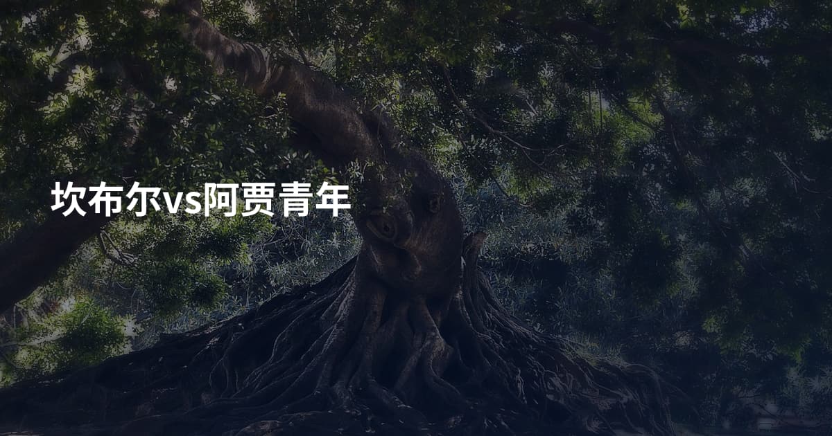 坎布尔vs阿贾青年