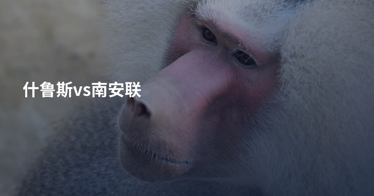 什鲁斯vs南安联