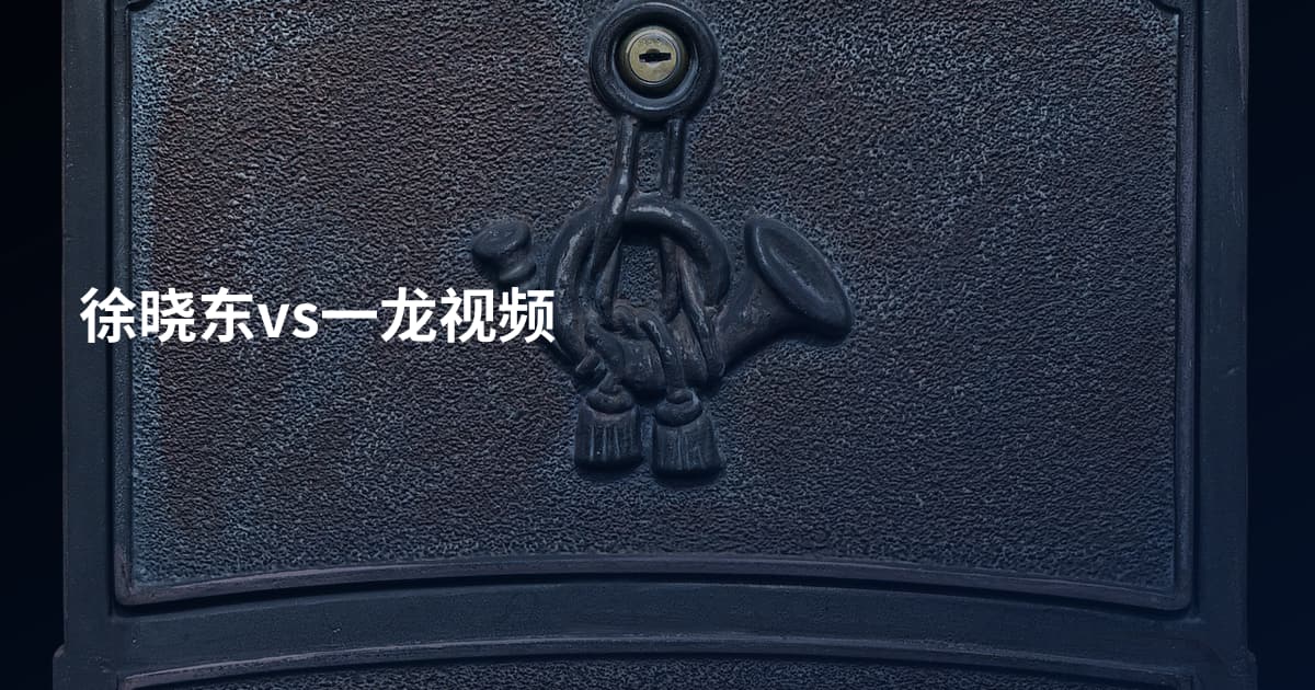 徐晓东vs一龙视频
