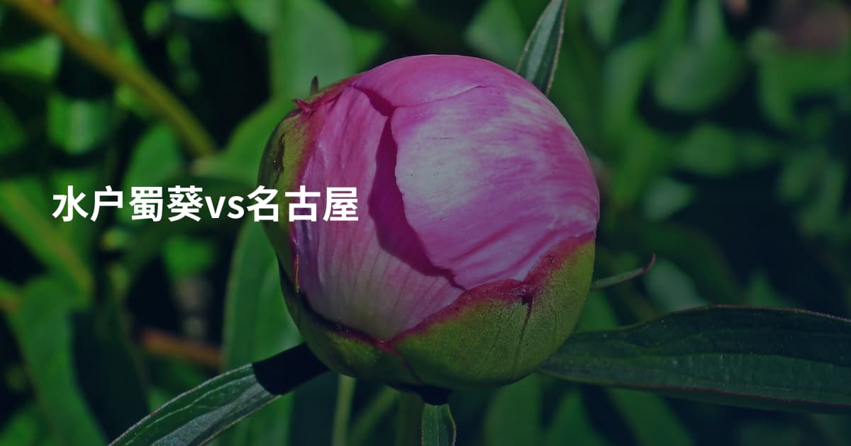 水户蜀葵vs名古屋