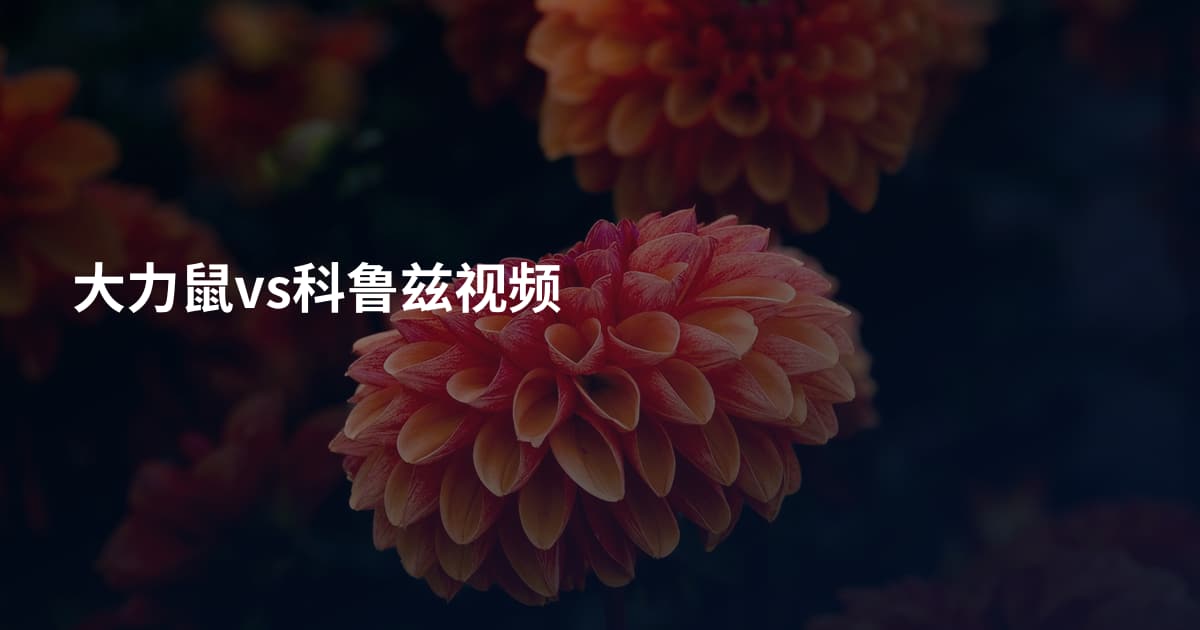 大力鼠vs科鲁兹视频