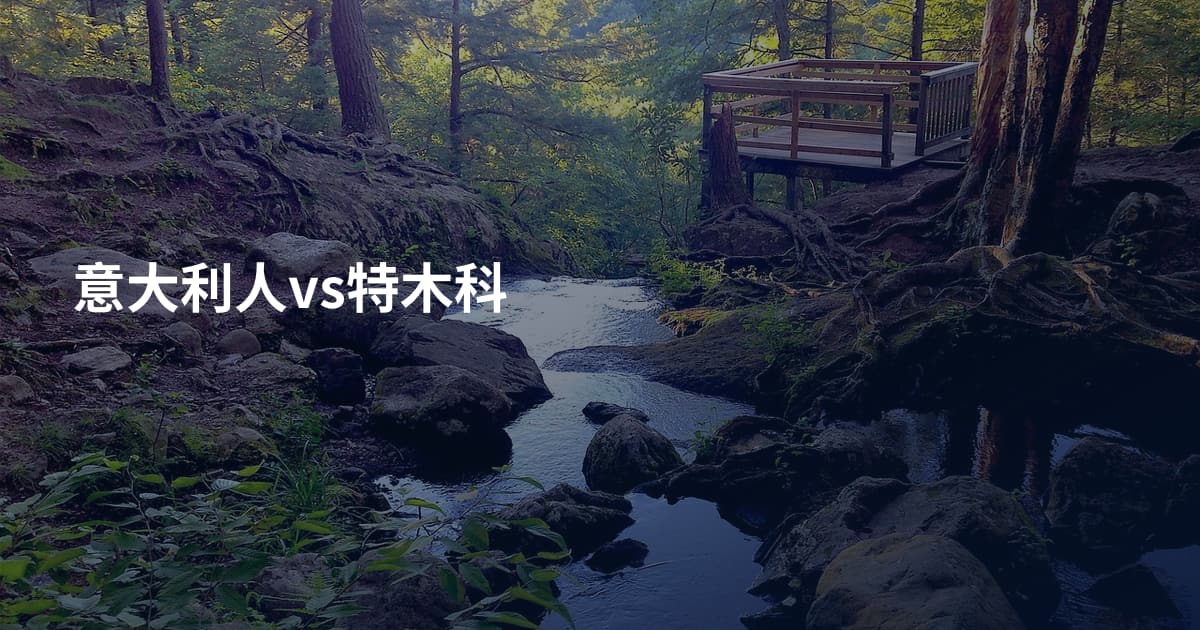 意大利人vs特木科