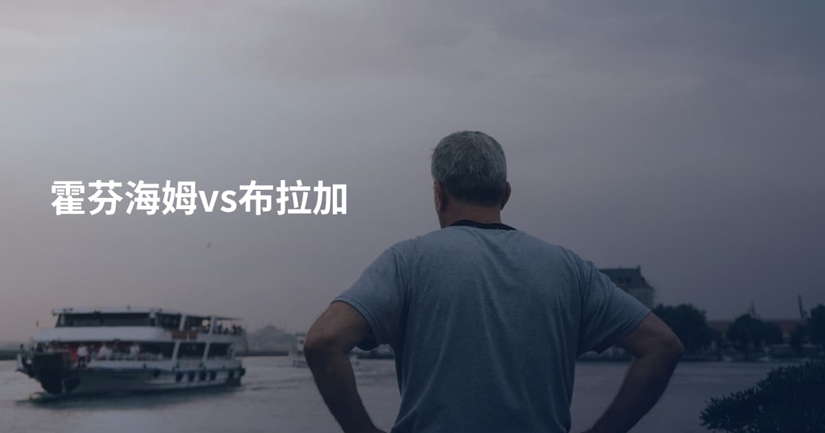 霍芬海姆vs布拉加