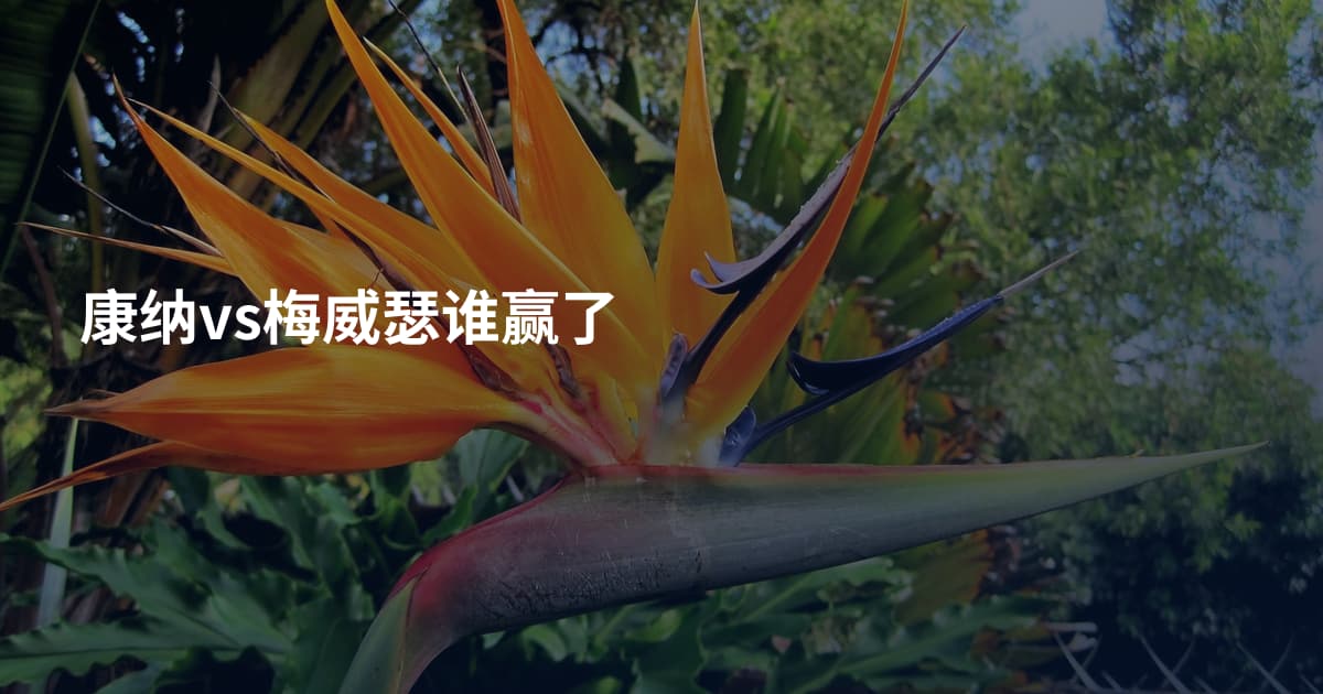 康纳vs梅威瑟谁赢了