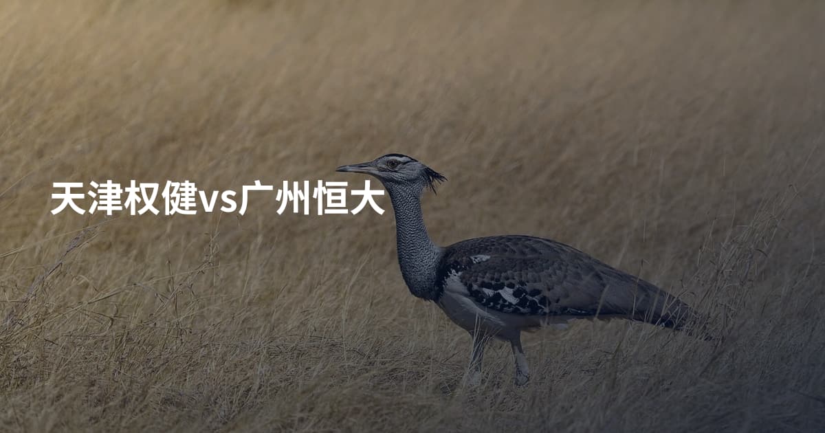 天津权健vs广州恒大