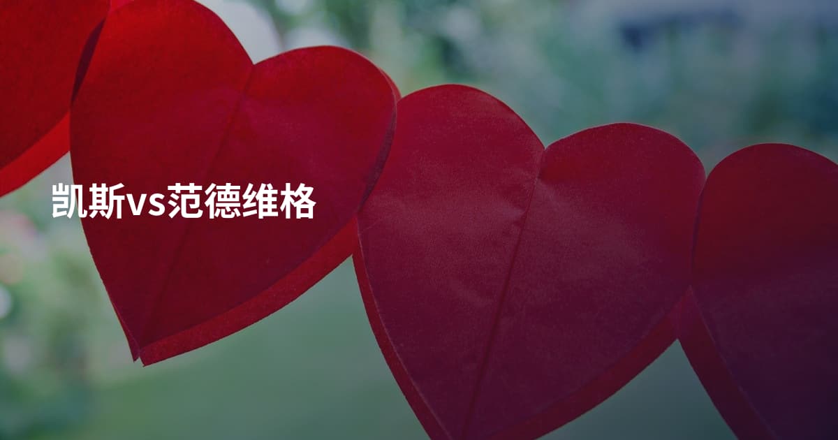 凯斯vs范德维格