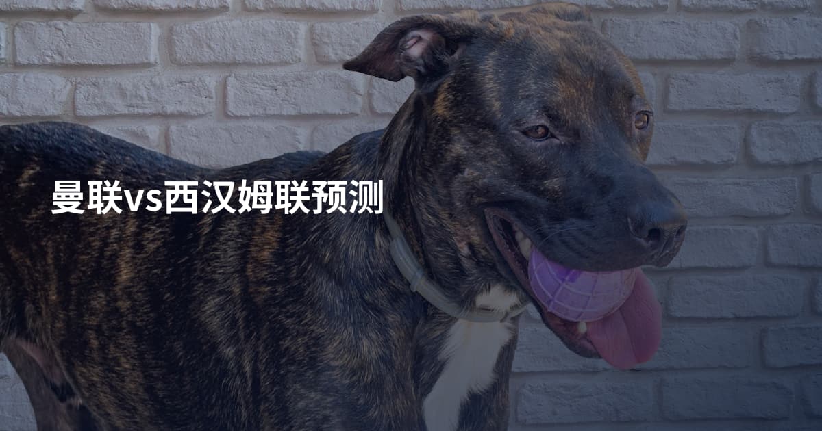 曼联vs西汉姆联预测