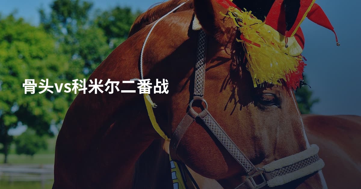 骨头vs科米尔二番战