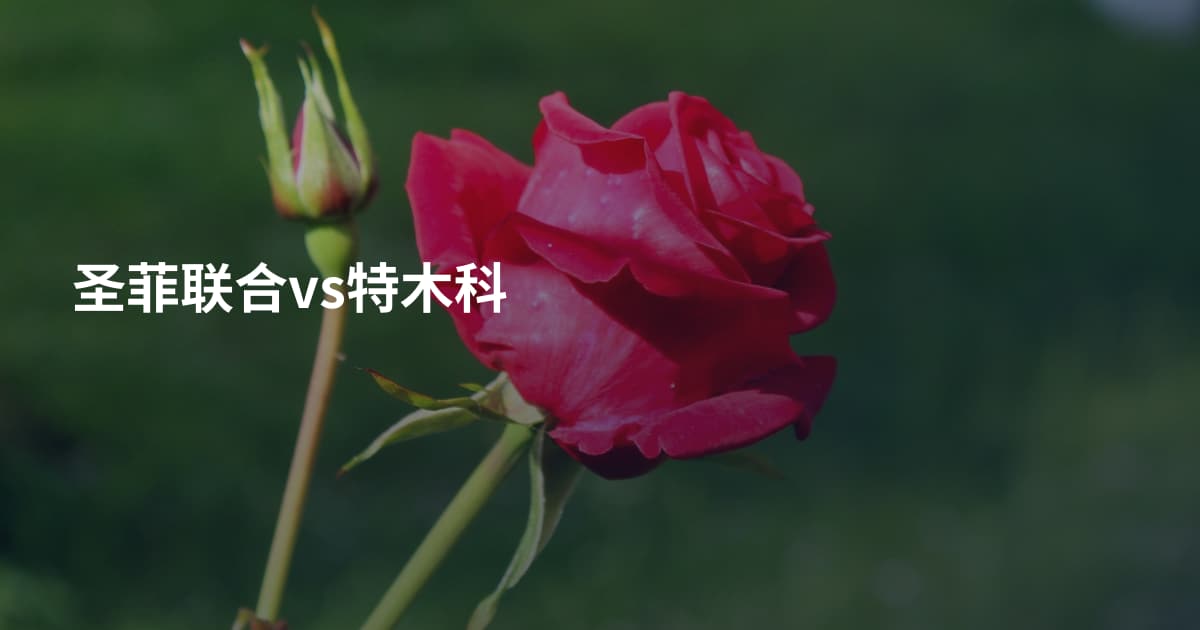 圣菲联合vs特木科