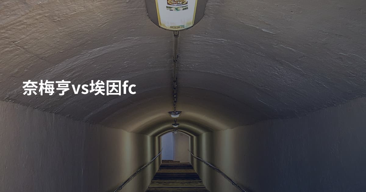 奈梅亨vs埃因fc