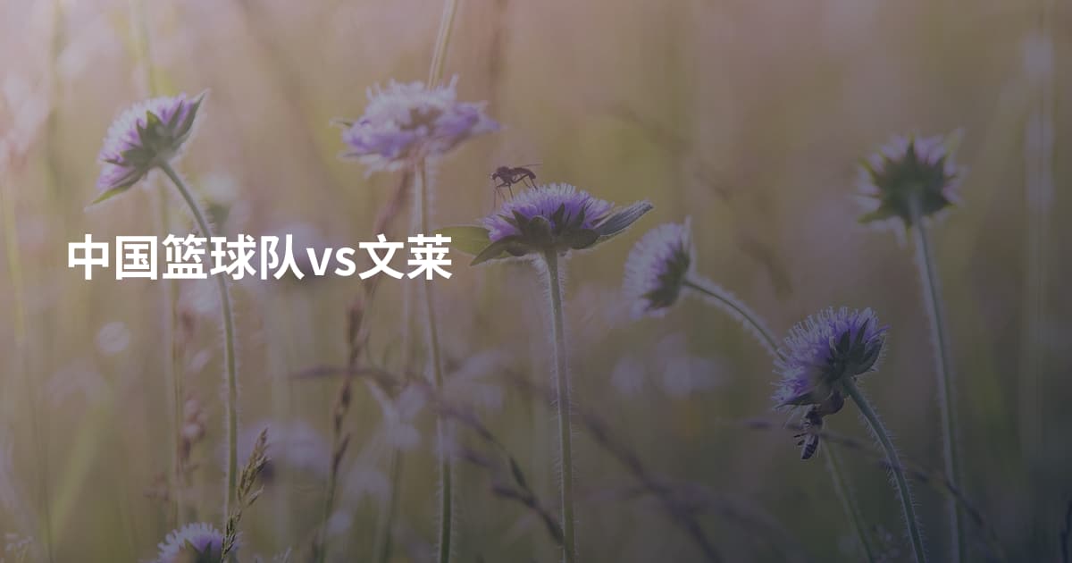 中国篮球队vs文莱