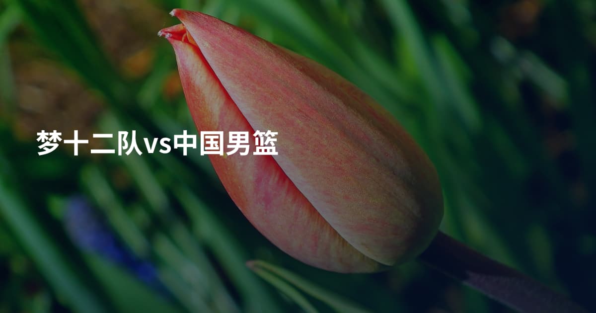梦十二队vs中国男篮