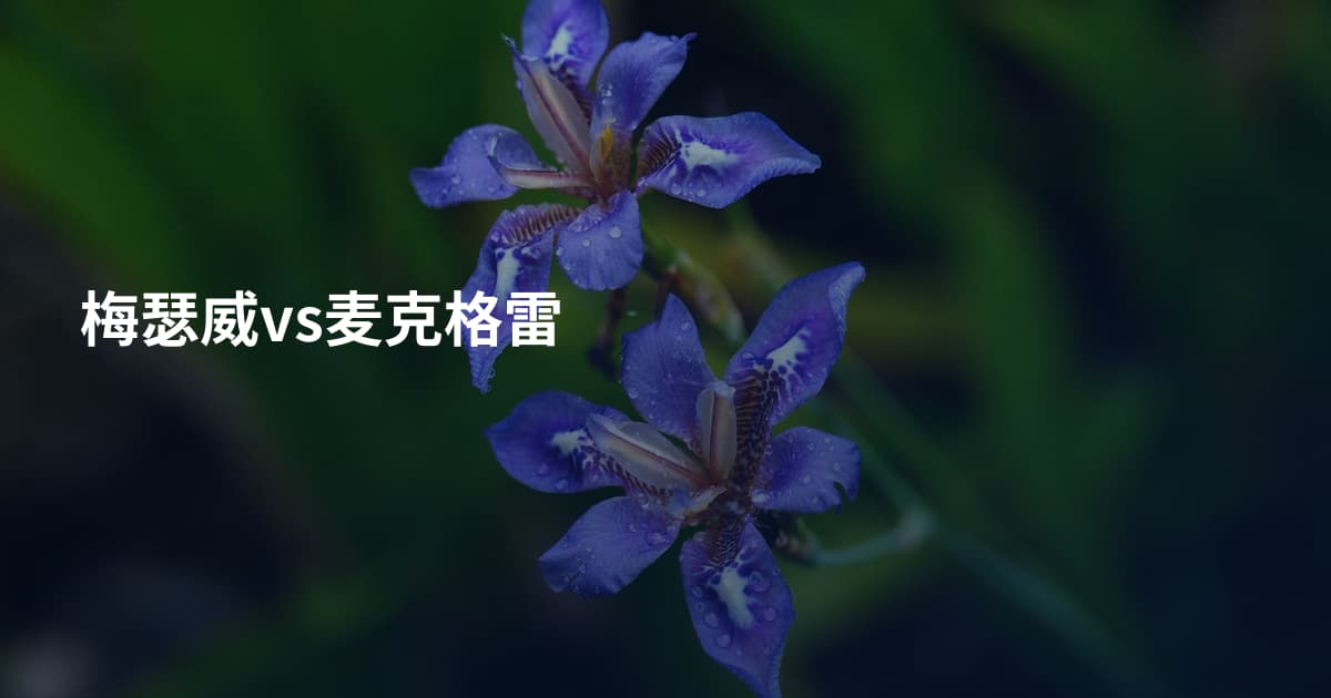 梅瑟威vs麦克格雷