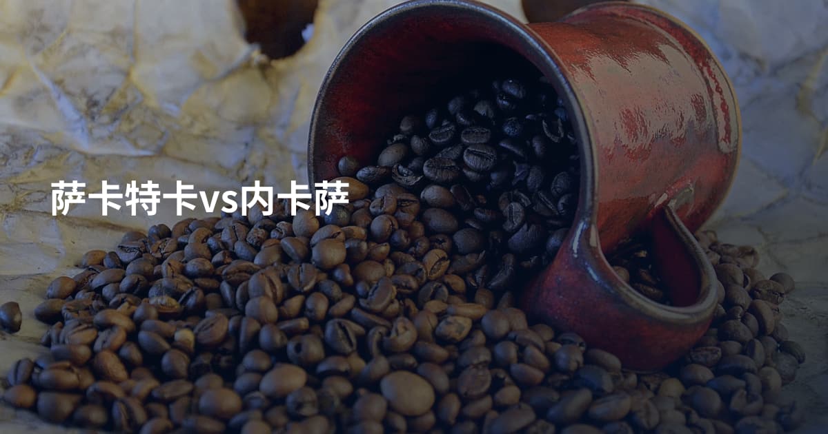 萨卡特卡vs内卡萨