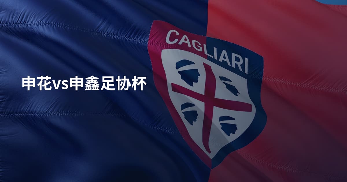 申花vs申鑫足协杯