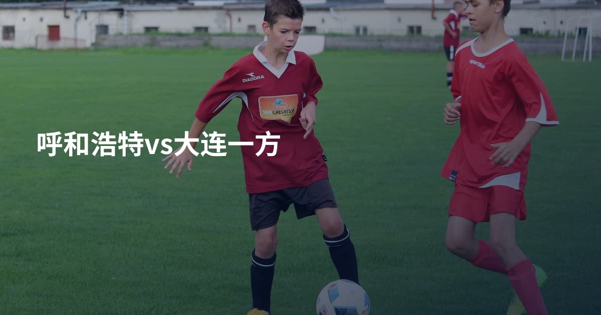 呼和浩特vs大连一方