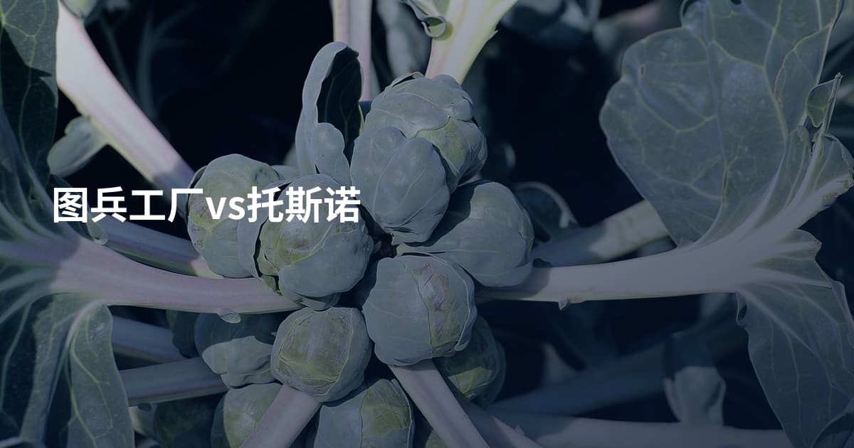 图兵工厂vs托斯诺