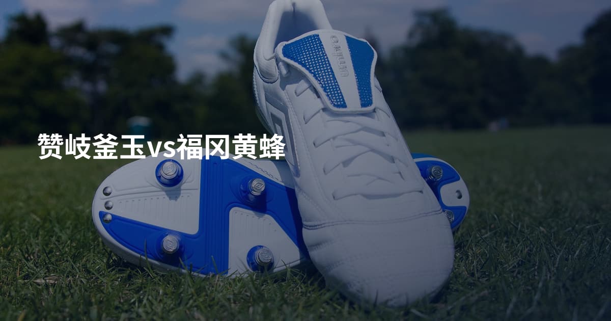 赞岐釜玉vs福冈黄蜂