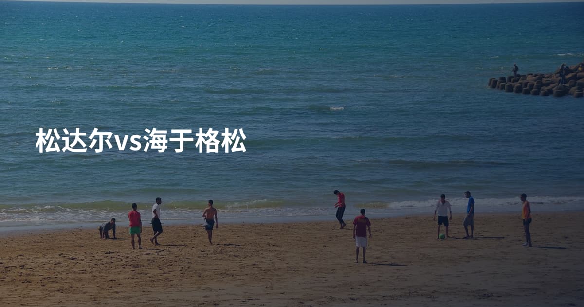 松达尔vs海于格松