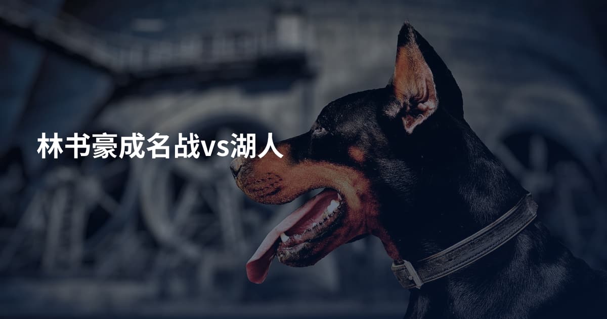 林书豪成名战vs湖人