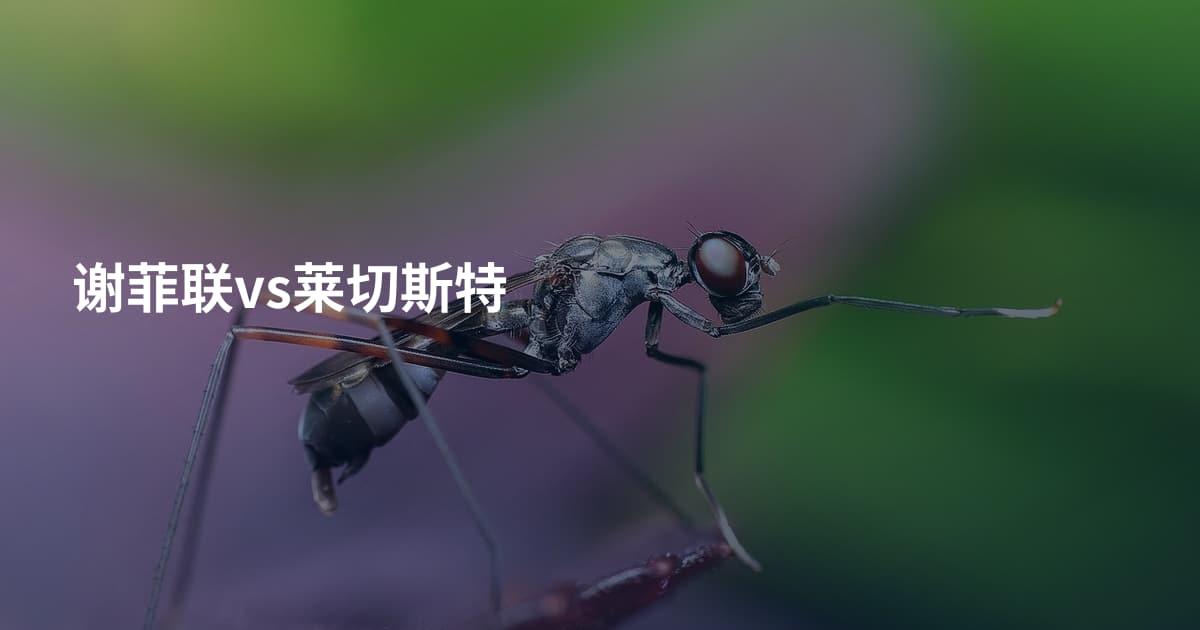 谢菲联vs莱切斯特