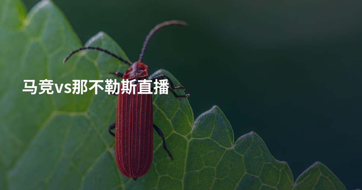 马竞vs那不勒斯直播