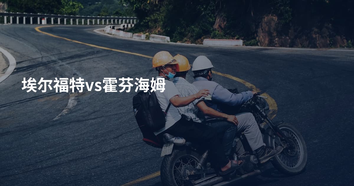 埃尔福特vs霍芬海姆