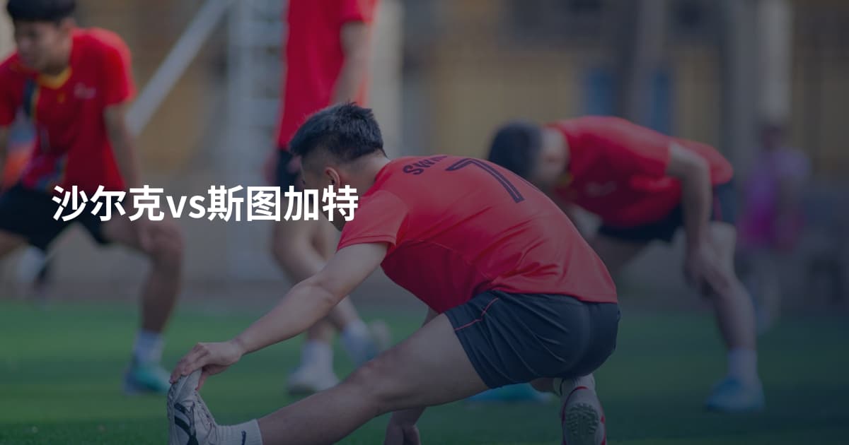 沙尔克vs斯图加特