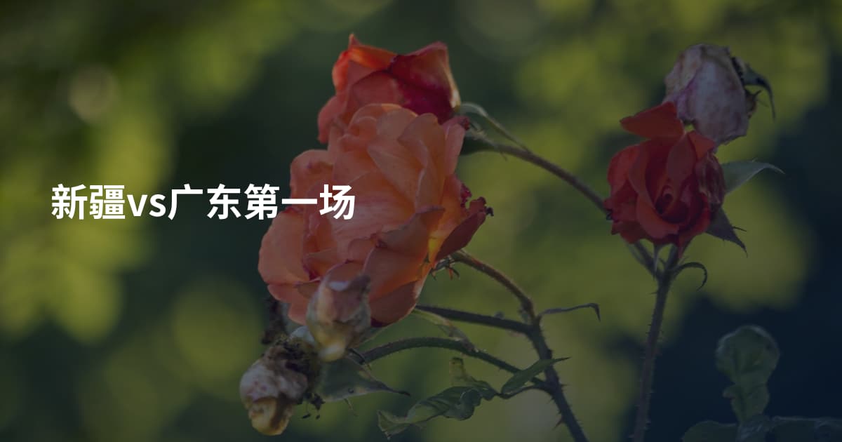 新疆vs广东第一场
