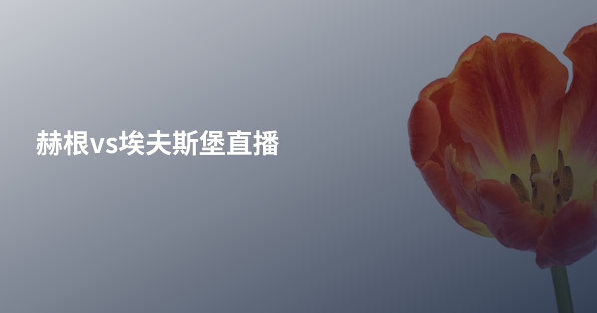 赫根vs埃夫斯堡直播