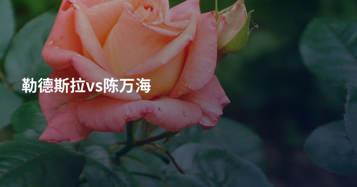勒德斯拉vs陈万海