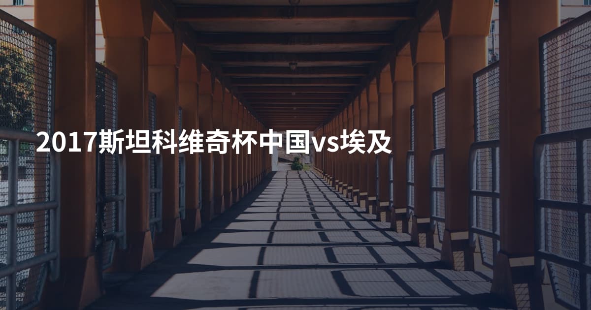 2017斯坦科维奇杯中国vs埃及