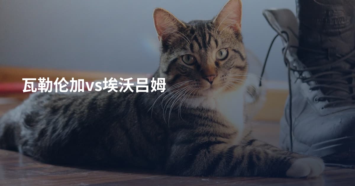 瓦勒伦加vs埃沃吕姆