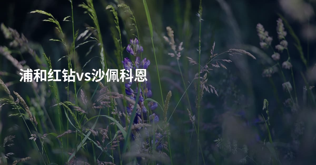 浦和红钻vs沙佩科恩