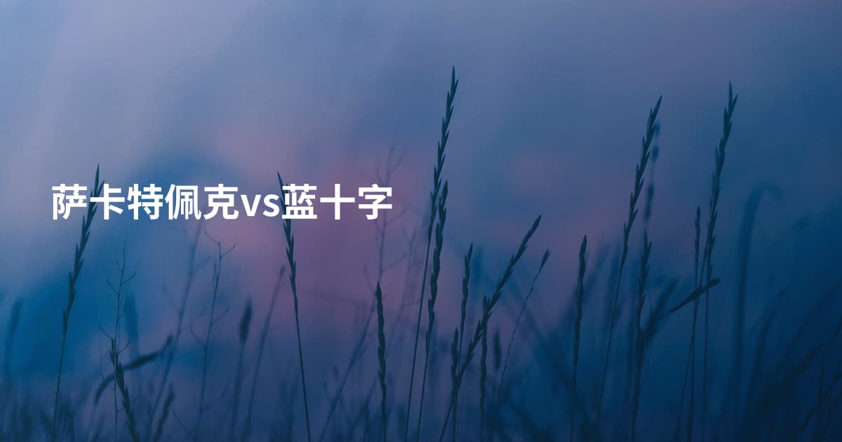萨卡特佩克vs蓝十字