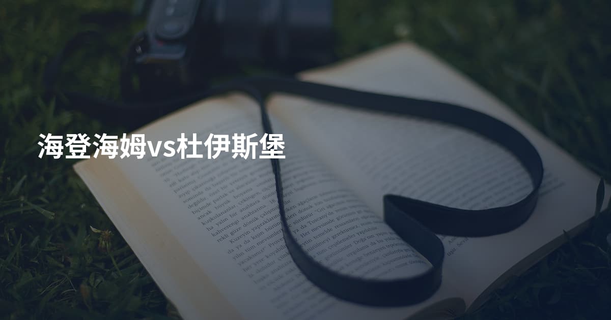 海登海姆vs杜伊斯堡
