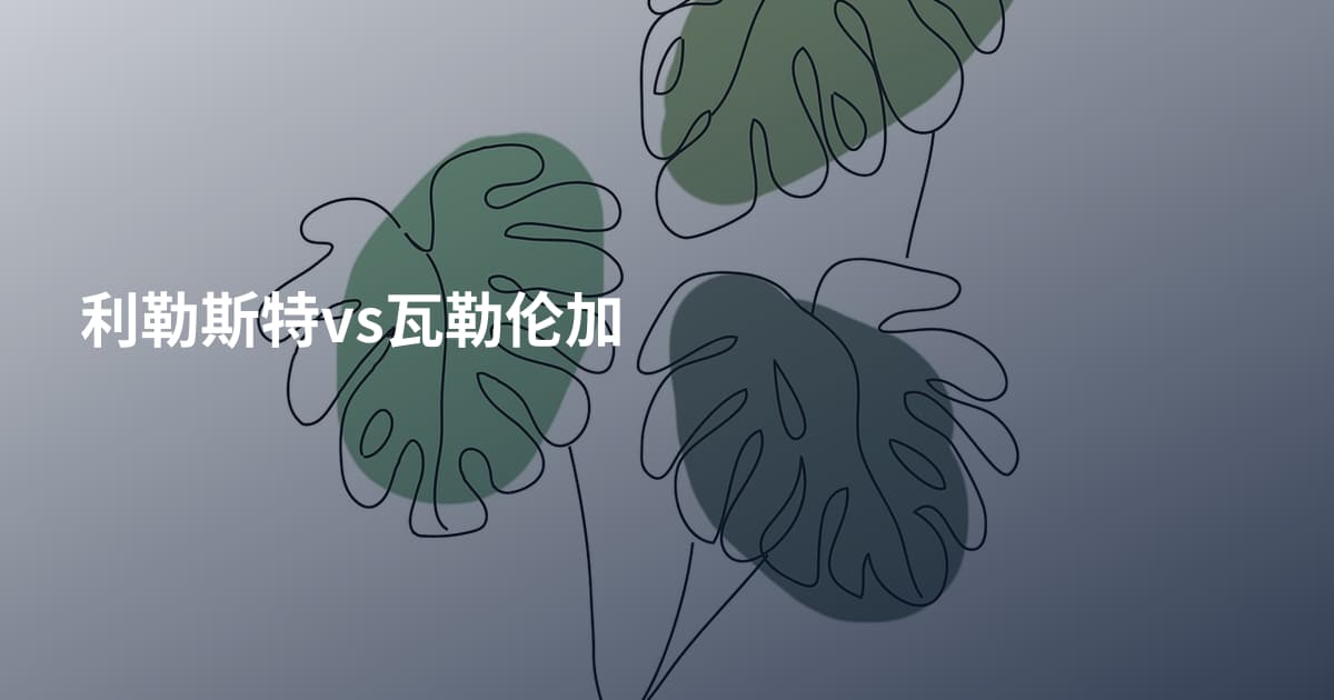 利勒斯特vs瓦勒伦加