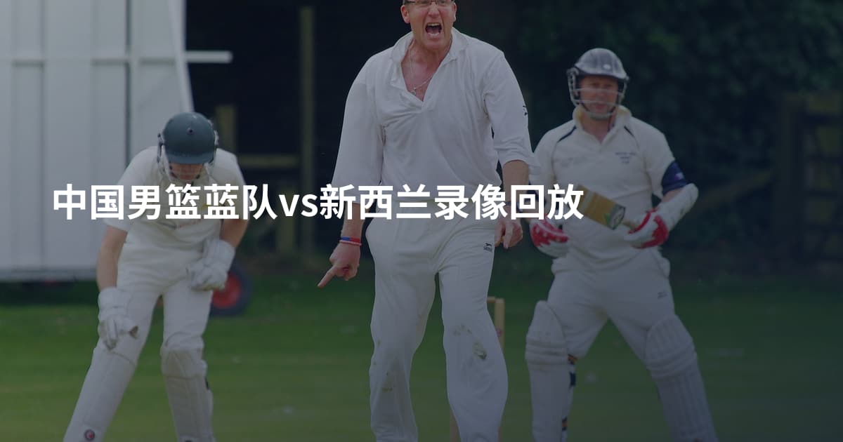 中国男篮蓝队vs新西兰录像回放