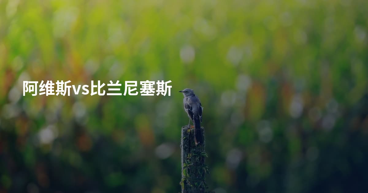 阿维斯vs比兰尼塞斯